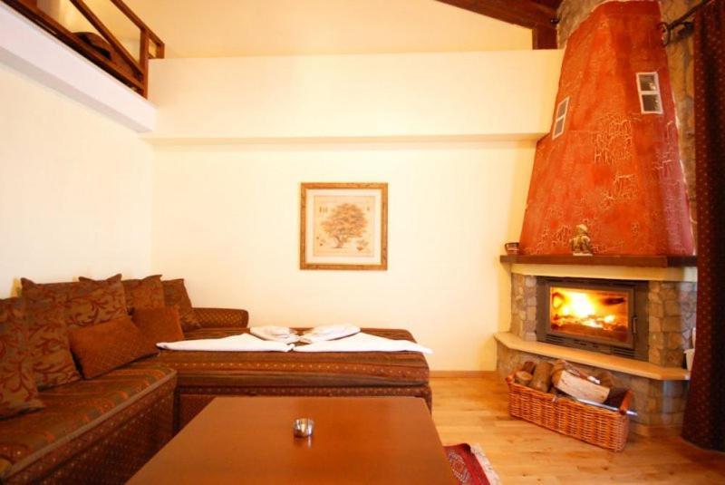 Vasilitsa Spa Resort Grevena Oda fotoğraf