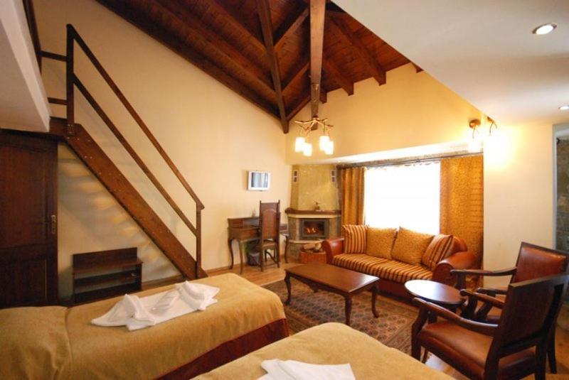 Vasilitsa Spa Resort Grevena Oda fotoğraf
