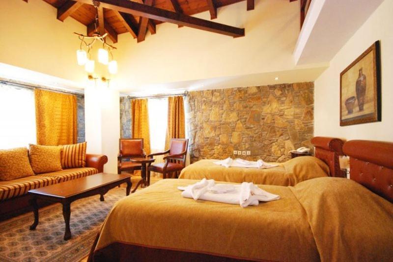Vasilitsa Spa Resort Grevena Oda fotoğraf