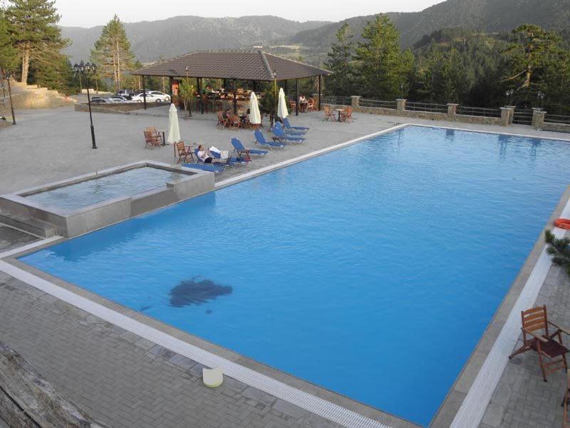 Vasilitsa Spa Resort Grevena Dış mekan fotoğraf